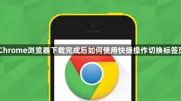 Chrome浏览器下载完成后如何使用快捷操作切换标签页1