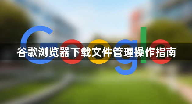 谷歌浏览器下载文件管理操作指南1