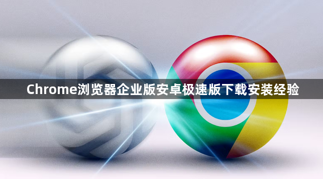 Chrome浏览器企业版安卓极速版下载安装经验1