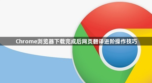 Chrome浏览器下载完成后网页翻译进阶操作技巧1