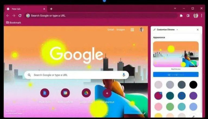 Chrome浏览器启动加速插件操作方法分享