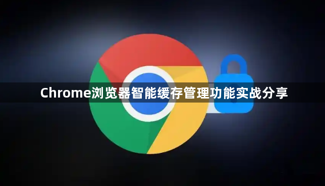 Chrome浏览器智能缓存管理功能实战分享1