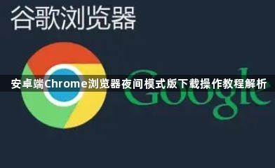 安卓端Chrome浏览器夜间模式版下载操作教程解析1