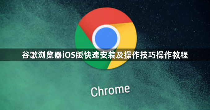 谷歌浏览器iOS版快速安装及操作技巧操作教程1