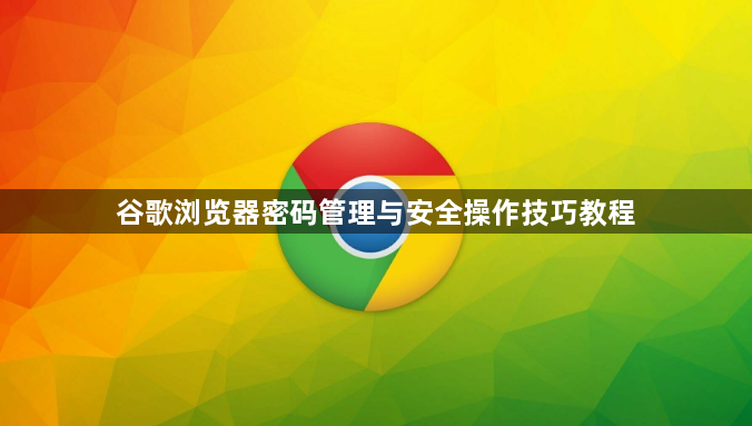 谷歌浏览器密码管理与安全操作技巧教程1