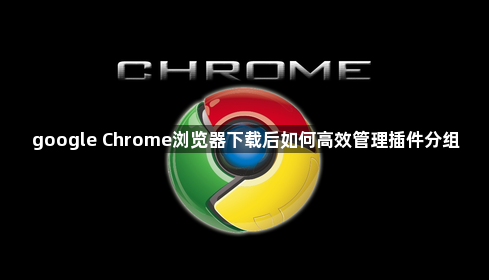 google Chrome浏览器下载后如何高效管理插件分组1