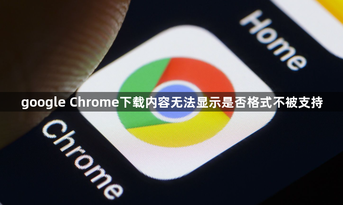 google Chrome下载内容无法显示是否格式不被支持1