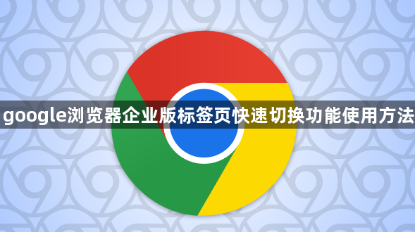 google浏览器企业版标签页快速切换功能使用方法1