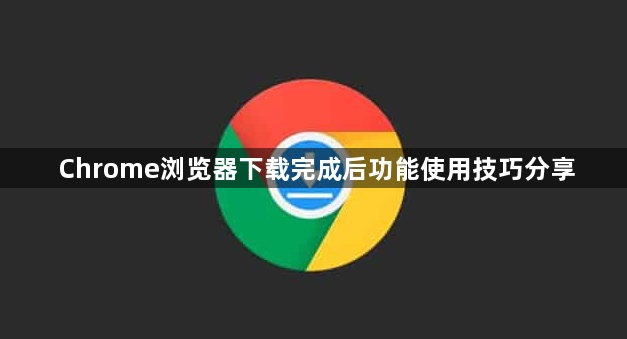 Chrome浏览器下载完成后功能使用技巧分享1