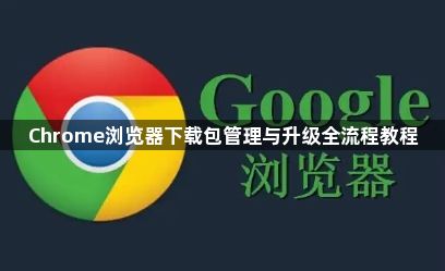 Chrome浏览器下载包管理与升级全流程教程1