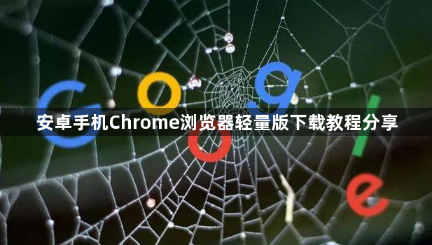 安卓手机Chrome浏览器轻量版下载教程分享1